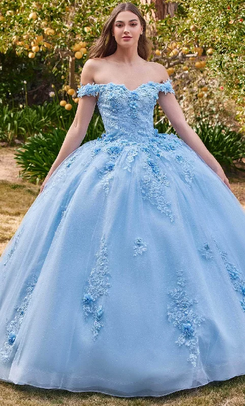 Custom Formal Dress TailorsLadivine 15702 - Floral Applique Ballgown